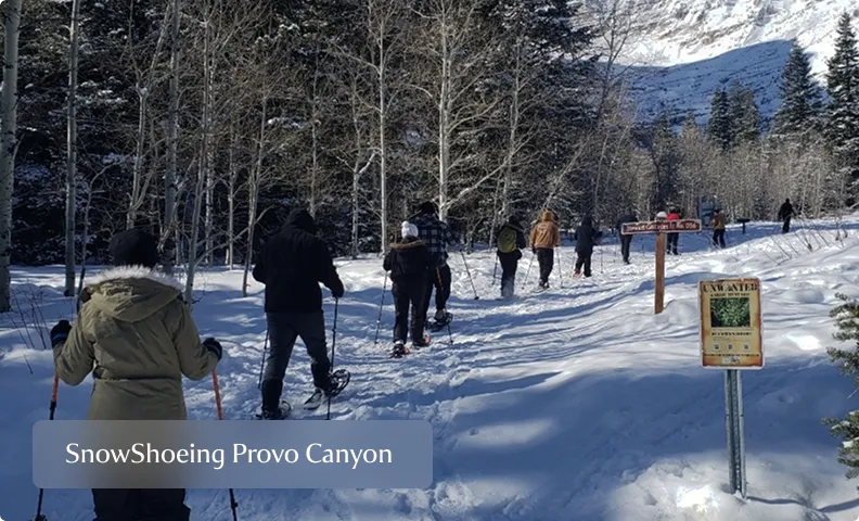 Activities Frame 1409 Frame 1409