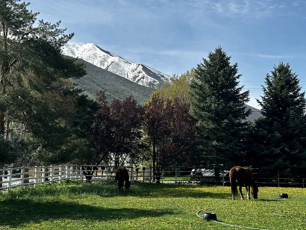 Residential Treatment - Recovery.com 6 About 2 1 2 Facility