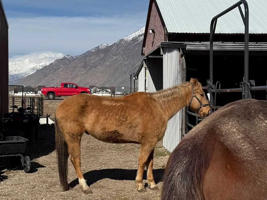 Residential Treatment - Recovery.com 7 Abaut 2 2 Facility